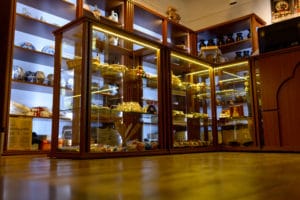 vitrina expunere muzeu