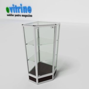 Vitrina pentru magazine